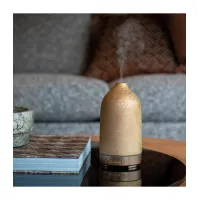 Aroma diffuser Scent Chips Bronse